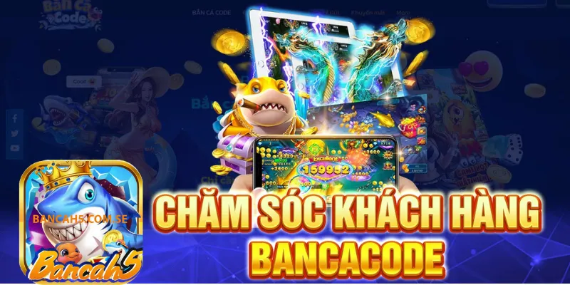 Bancacode không chỉ dừng lại ở việc cung cấp dịch vụ cá cược thông thường